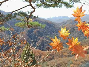 广西陆川动车最新消息